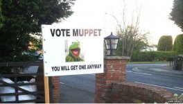 VoteMuppet.jpg